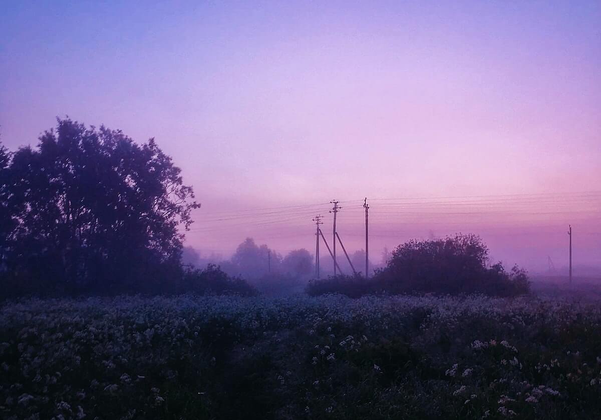 匈牙利主帅怒斥有关阿尔内·斯洛特的不实报道,此前曾告诫利物浦主帅勿插手干预